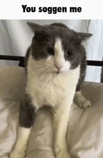 Sticker get lev 2 - 10