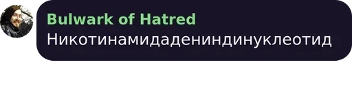 text screenshot font