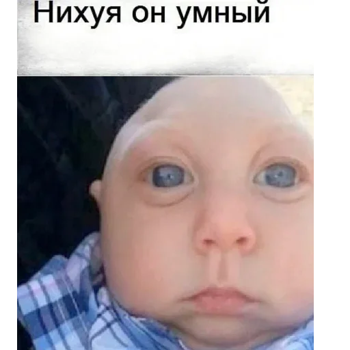 Sticker покорми крысу by @fStikBot - 6