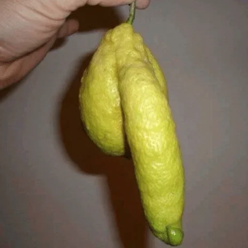 Sticker покорми крысу by @fStikBot - 3