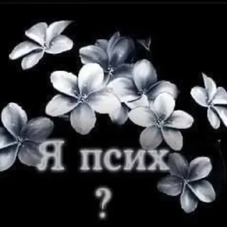 Стикер Больше стиков тут: @stikery4 - 9