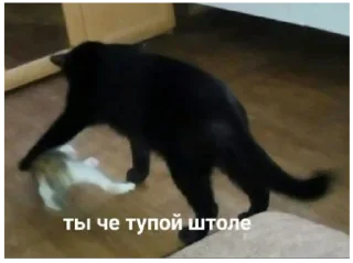 Стикер Больше стиков тут: @stikery4 - 7