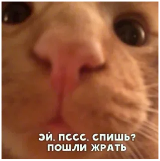 Стикер Больше стиков тут: @stikery4 - 3