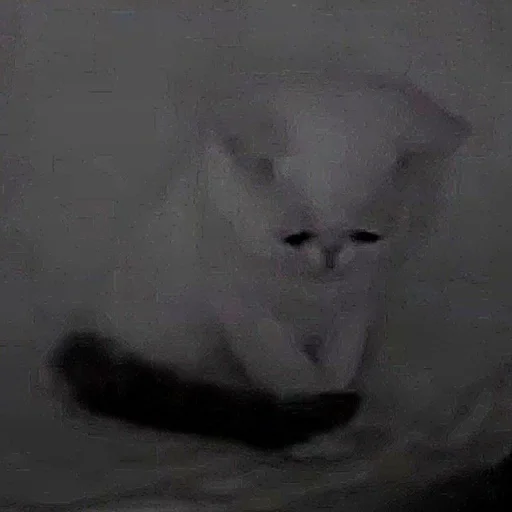 эскиз искусство млекопитающее