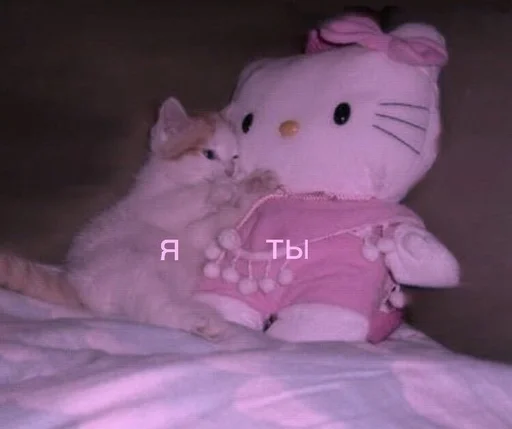 игрушка кошка комнатный