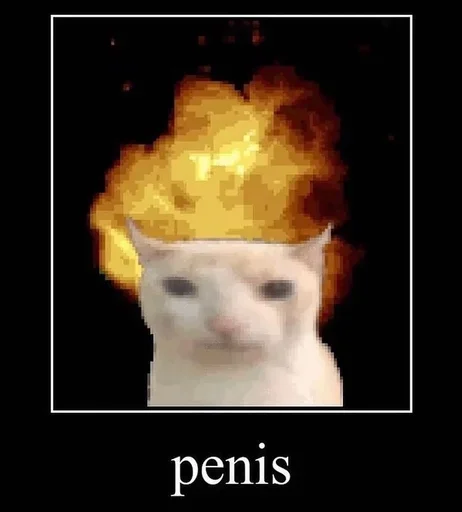 ꑭ ГАПЖ (Глобальний Альянс Проти Жидів) - 