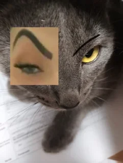 Sticker Гидроэлектростанция @TgEmodziBot - 7