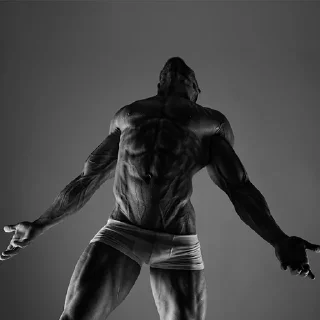 Sticker гигачад - 1