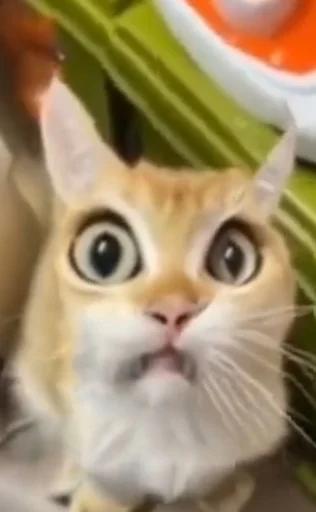 Sticker gigaeber - 1