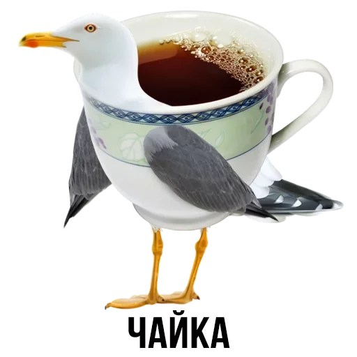 bird drinkware serveware