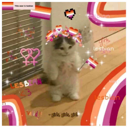 👩‍❤️‍👩👩‍❤️‍💋‍👩👭 - 