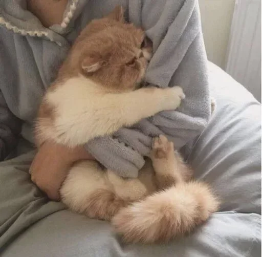 Sticker стики @vivitory @dadery pack by @QuotLyBot - 10