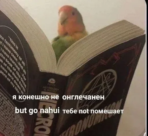 Sticker стики @vivitory @dadery pack by @QuotLyBot - 5