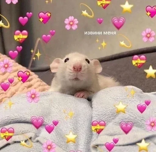 Sticker стики @vivitory @dadery pack by @QuotLyBot - 4