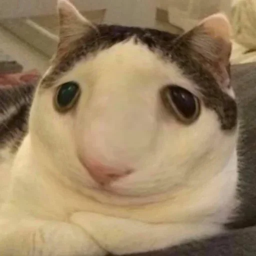 влад. @WeStickerbot - 