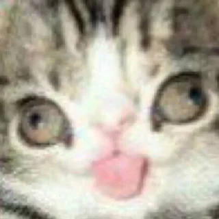 Sticker Больше стиков тут: @stikery4 - 4