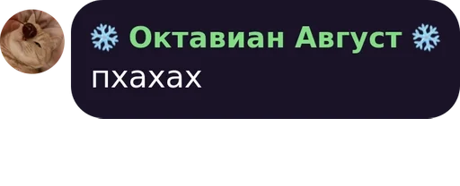 text screenshot font