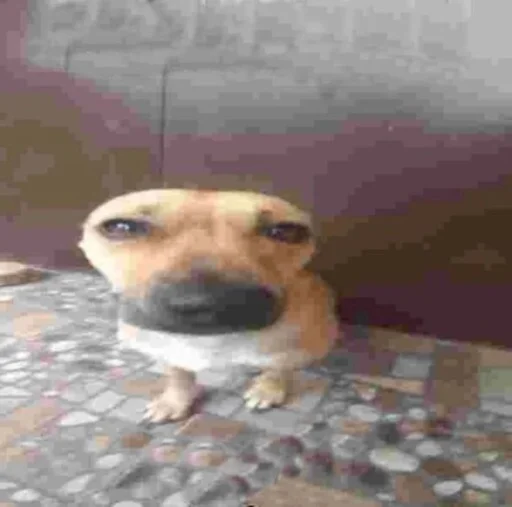 Стикер glamour4ik - 1