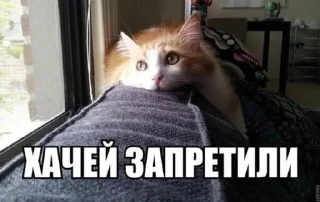 Стикер Gл@му₽ - 11