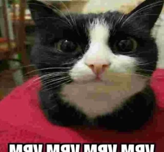 Стикер Gл@му₽ - 7