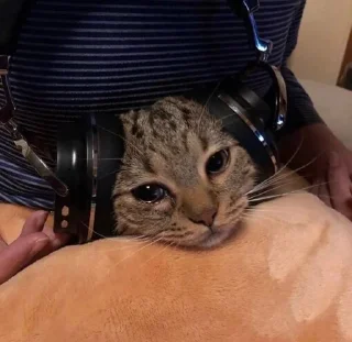 Стикер Gл@му₽ - 8