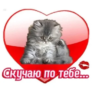 Sticker FreeBitch V1 @zxcvveriks - 1