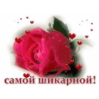 Sticker FreeBitch V1 @zxcvveriks - 5