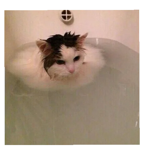 гламурчик - 