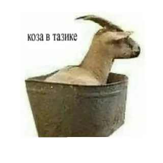 Sticker гламурчик - 5