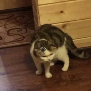 Sticker glavniy_HELPER - 2