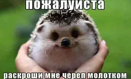 Sticker glcdvrAfAzYbaaqNJ_by_stickers_stealer_bot - 1