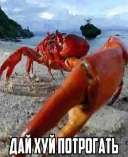 Sticker Больше стикеров 👉🏻 @stickertg4 - 3