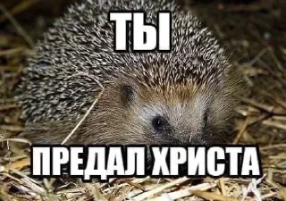 Sticker Больше стикеров 👉🏻 @stickertg4 - 1