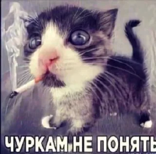 Sticker Больше стикеров 👉🏻 @stickertg4 - 2