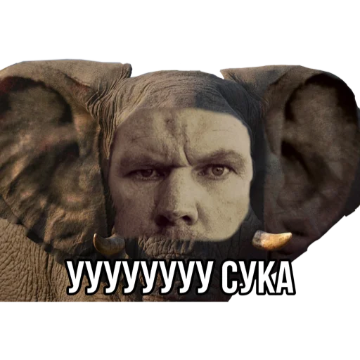 human face text screenshot