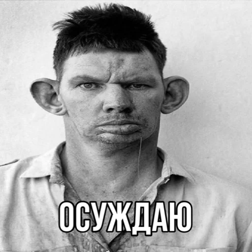 human face portrait person