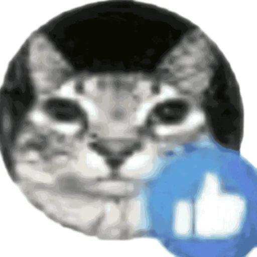 мать тиграм в цирке скормил вашу - 