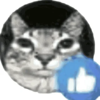 Sticker мать тиграм в цирке скормил вашу - 9