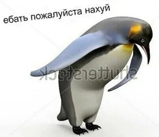 животное водная птица птица