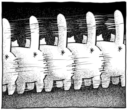 black and white outdoor monochrome