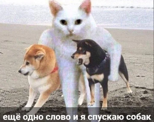 животное млекопитающее земля