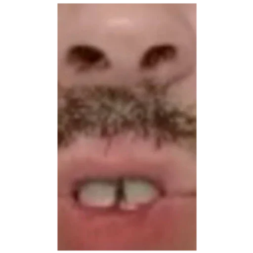 Sticker gnienij6 - 1