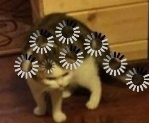 кошачьи кошки малого и среднего размера киска