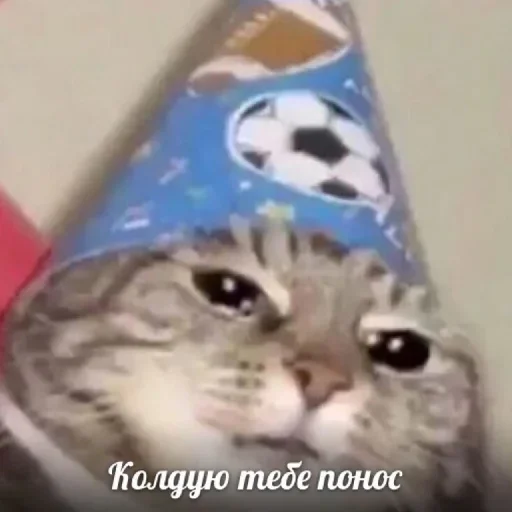 Sticker BTC BAND [Общение] pack by @KruzyaStall_QuoteBot - 6