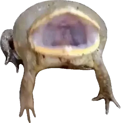 Больше стикеров 👉🏻 @stickertg4 - 