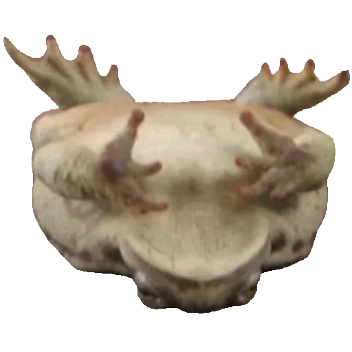 Sticker goRZRJq_by_stickers_stealer_bot - 1