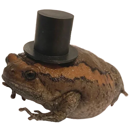 Sticker goRZRJq_by_stickers_stealer_bot - 1