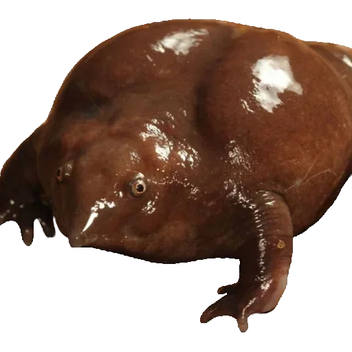 Sticker goRZRJq_by_stickers_stealer_bot - 1