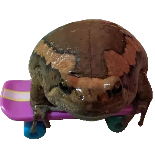 Sticker goRZRJq_by_stickers_stealer_bot - 1