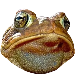 Sticker Больше стикеров 👉🏻 @stickertg4 - 6